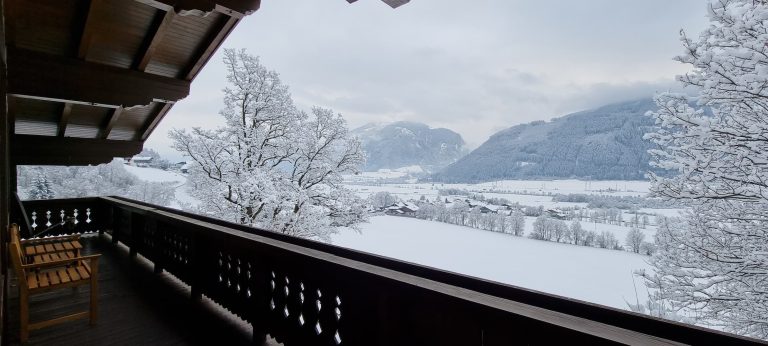 Aussicht vom Hinterhof