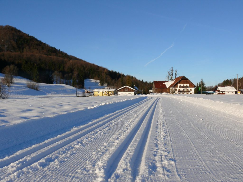 Cross-country ski trail