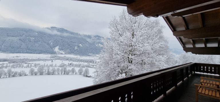 Aussicht vom Hinterhof